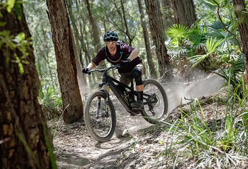 flow magaine velduro rogue first look