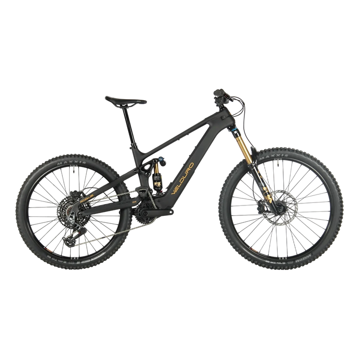 Velduro Rogue R M2S electric mountain bike